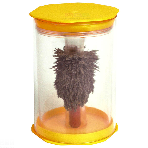 Magnetic Field Tube